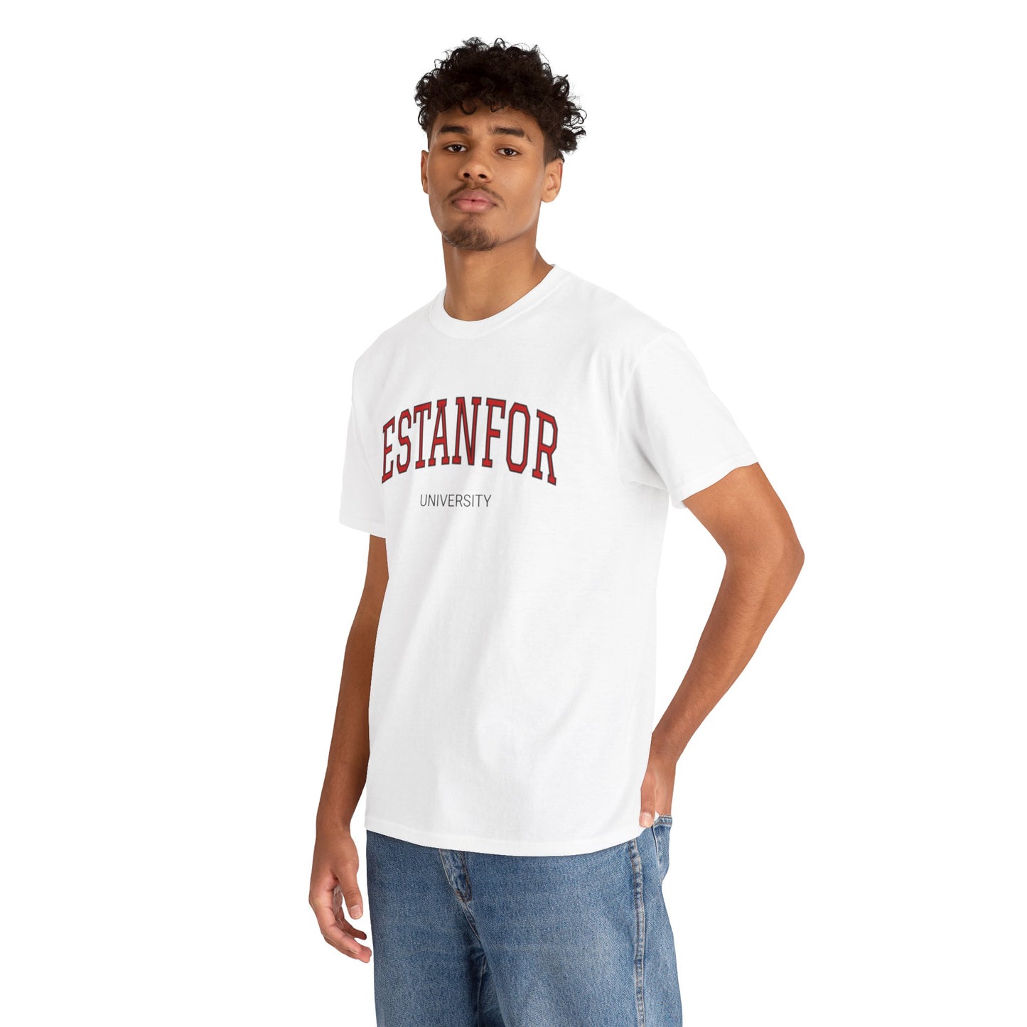 Estanfor Vintage University T-Shirt — Retro Campus Humor Tee